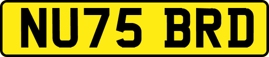 NU75BRD