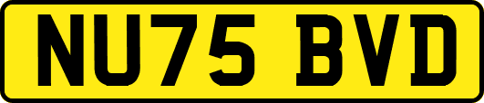 NU75BVD