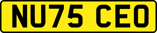 NU75CEO