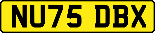 NU75DBX