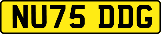 NU75DDG