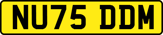 NU75DDM