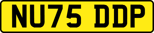 NU75DDP
