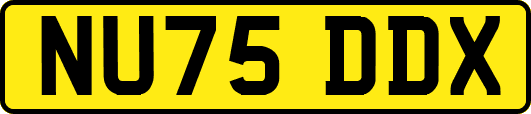 NU75DDX
