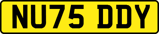 NU75DDY