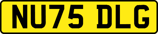 NU75DLG