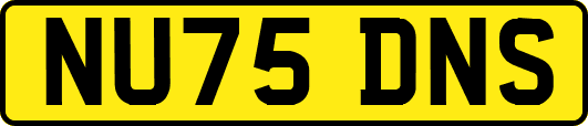 NU75DNS