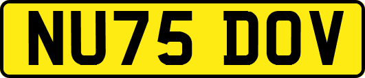 NU75DOV