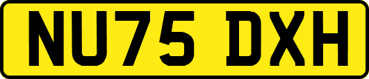 NU75DXH