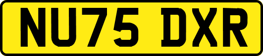 NU75DXR