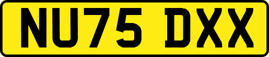 NU75DXX
