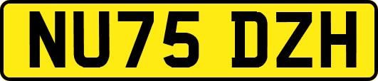 NU75DZH
