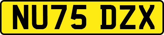 NU75DZX