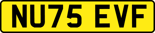 NU75EVF