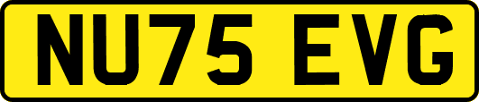 NU75EVG