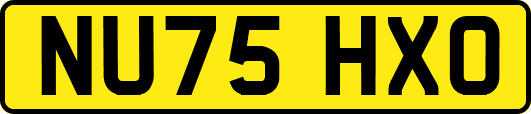 NU75HXO