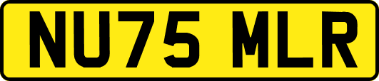 NU75MLR
