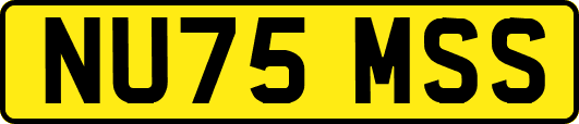 NU75MSS