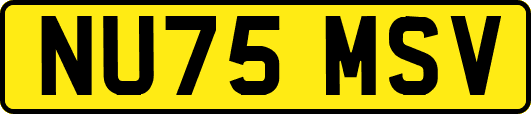 NU75MSV