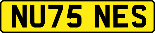 NU75NES