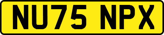 NU75NPX