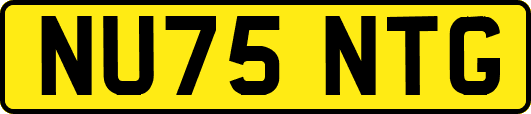 NU75NTG