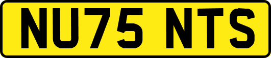 NU75NTS