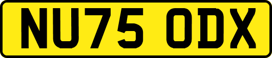NU75ODX