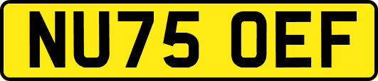 NU75OEF