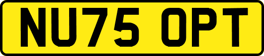 NU75OPT