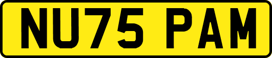 NU75PAM
