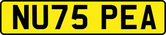 NU75PEA