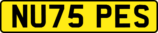 NU75PES