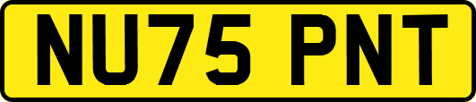 NU75PNT