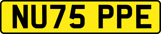 NU75PPE