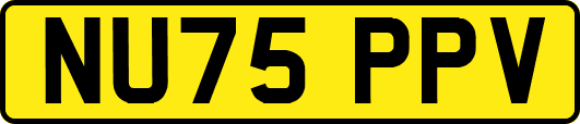 NU75PPV