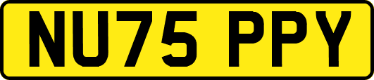 NU75PPY