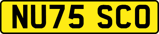 NU75SCO
