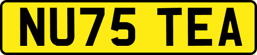 NU75TEA