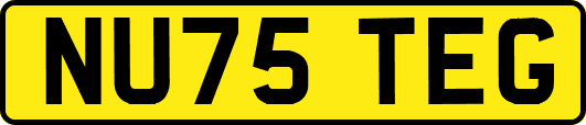 NU75TEG