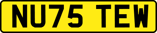 NU75TEW
