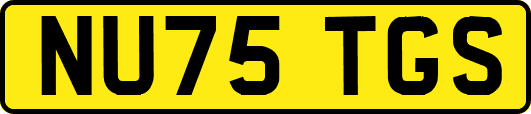 NU75TGS