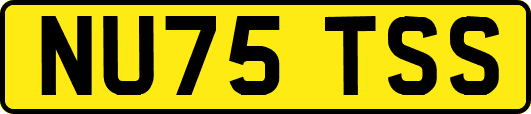 NU75TSS