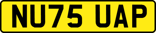 NU75UAP