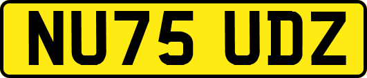 NU75UDZ