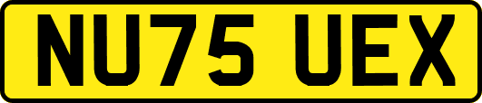 NU75UEX