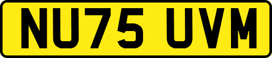 NU75UVM
