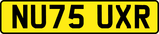 NU75UXR
