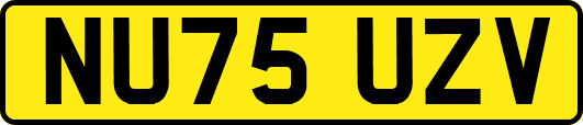 NU75UZV