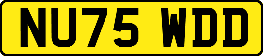 NU75WDD